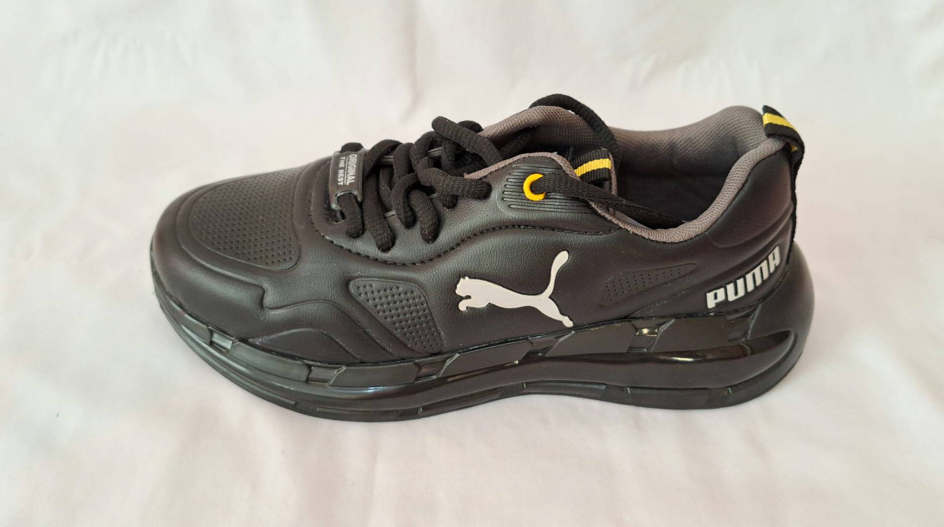 ۲۰۲۴۰۸۰۹_۱۵۰۲۵۰ پوما(Pomu) - تصویر 1